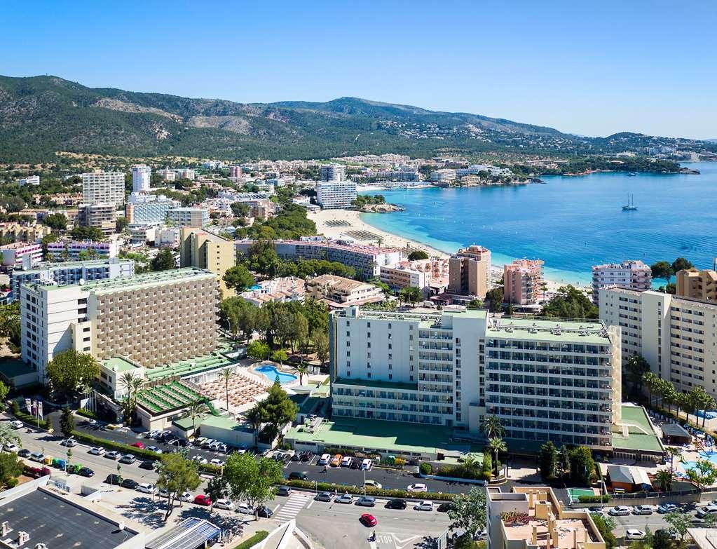 Sol Palmanova Mallorca Екстер'єр фото